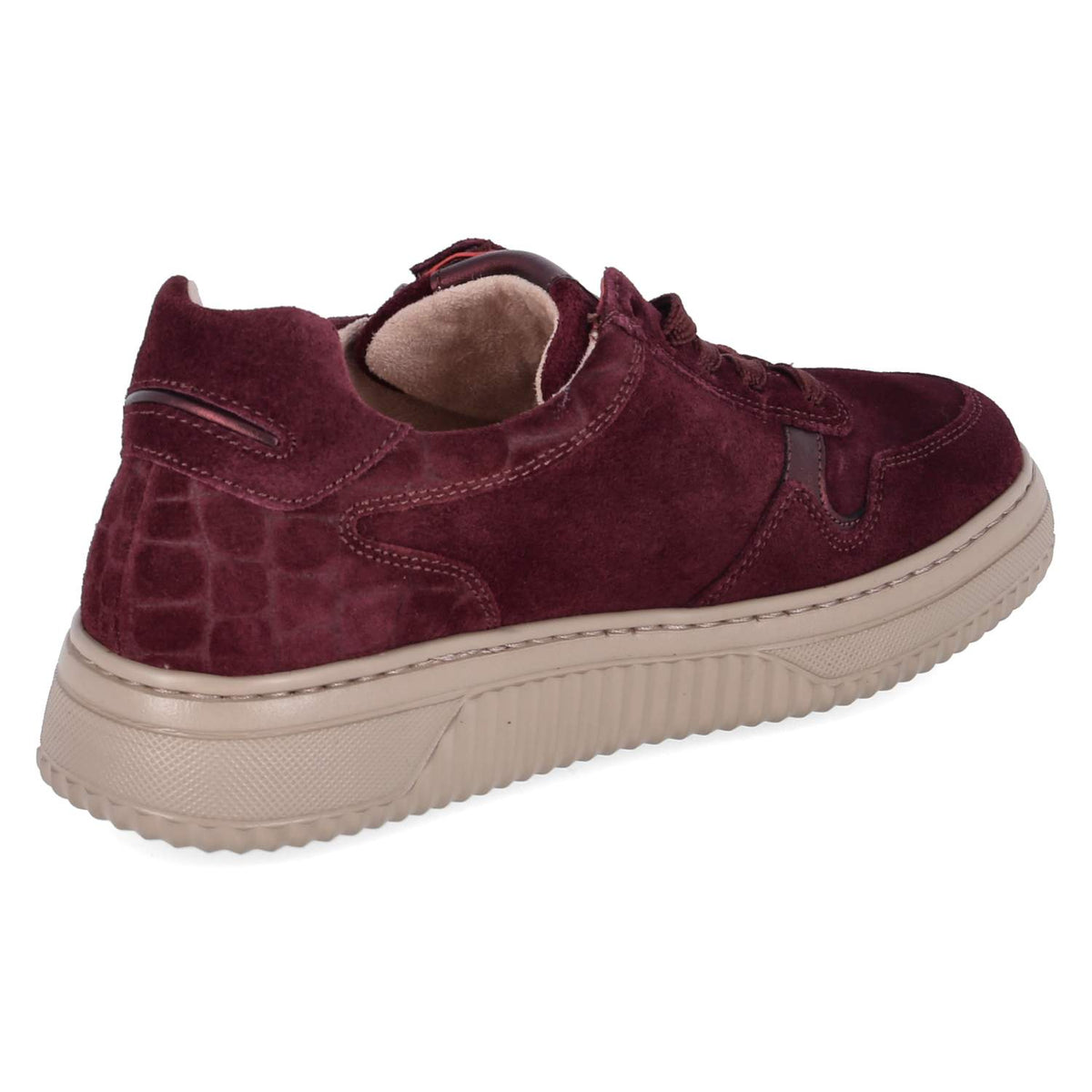 Low Sneaker Rot