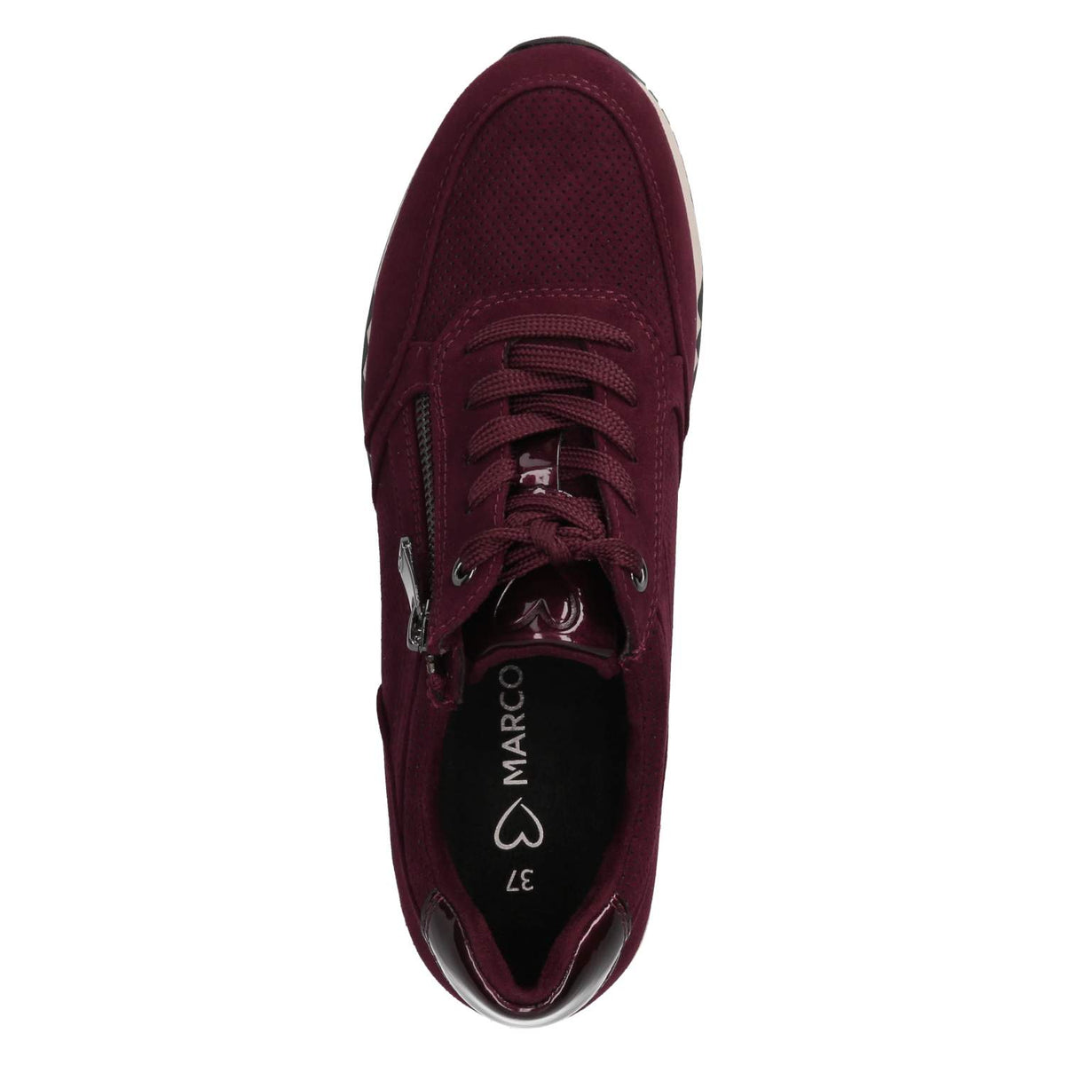 Low Sneaker Rot