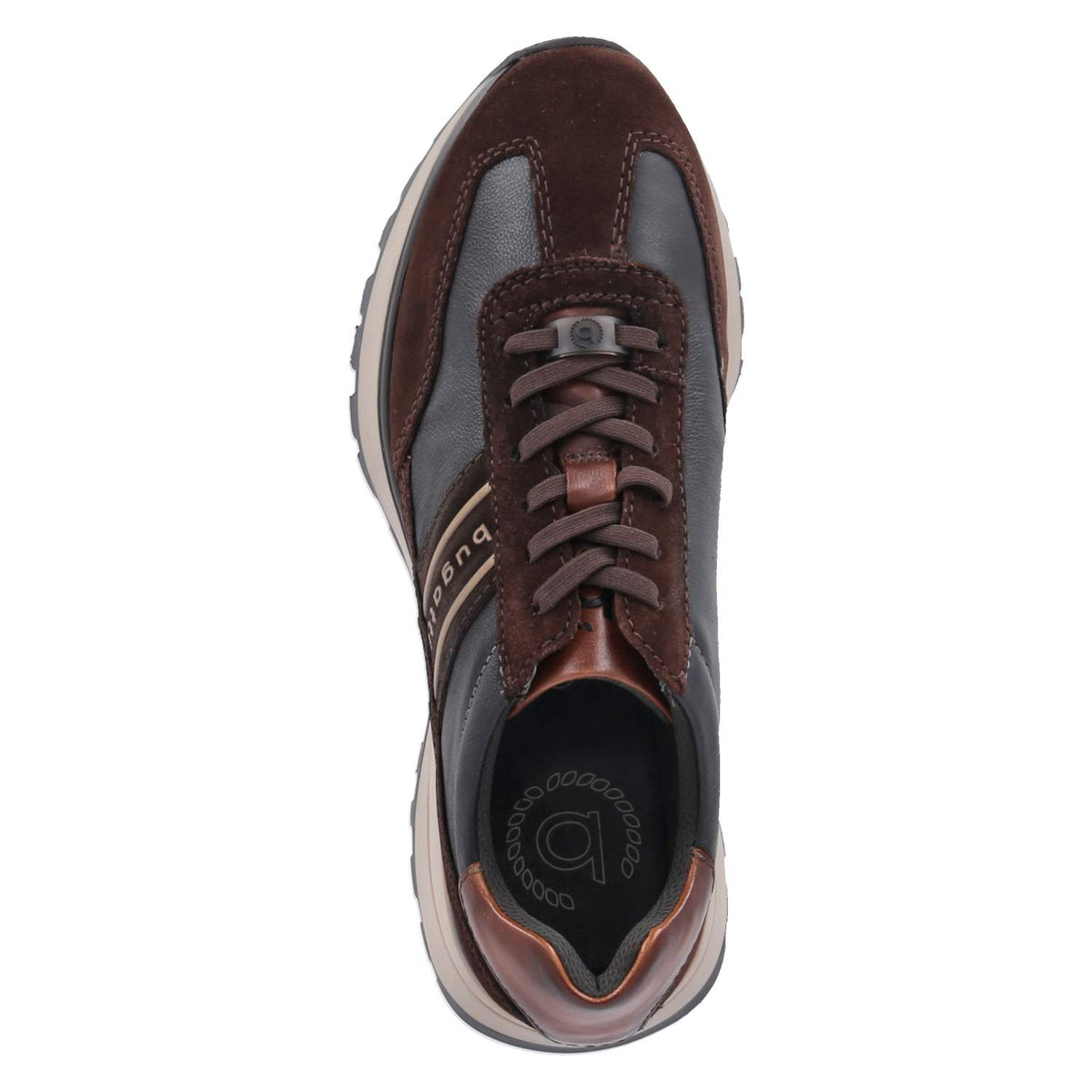 Low Sneaker Braun