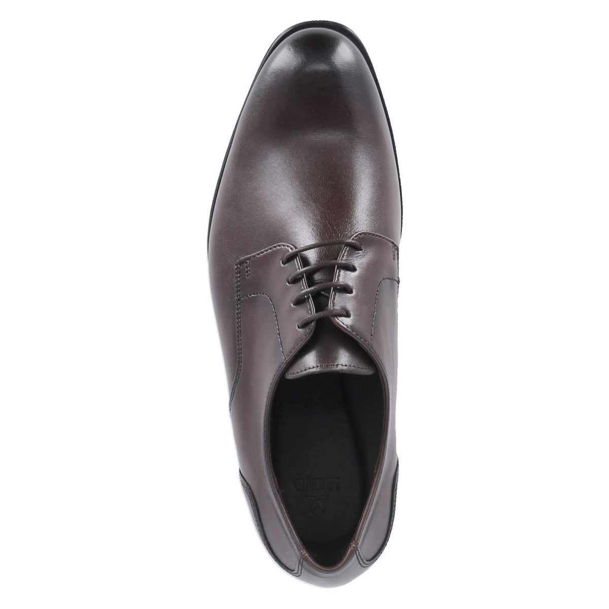 Halbschuhe EEZY 110W Braun