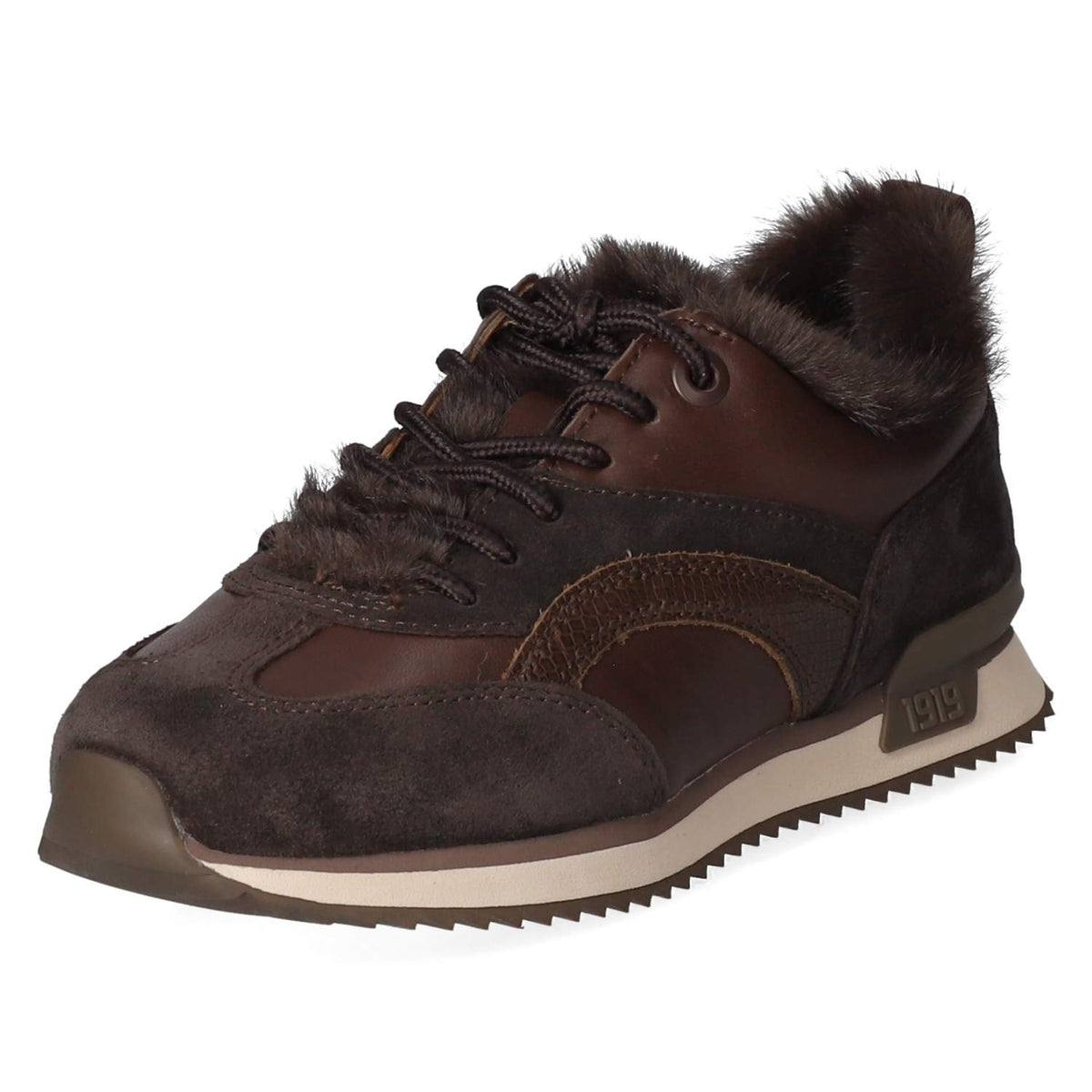 Low Sneaker Braun