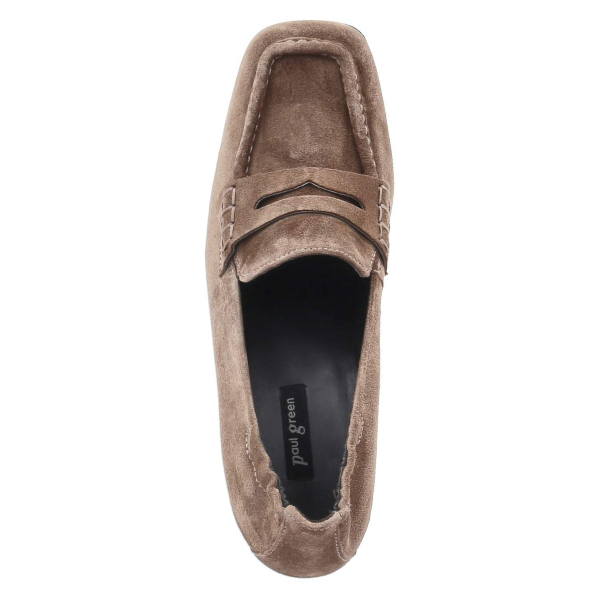 Trotteurs Taupe