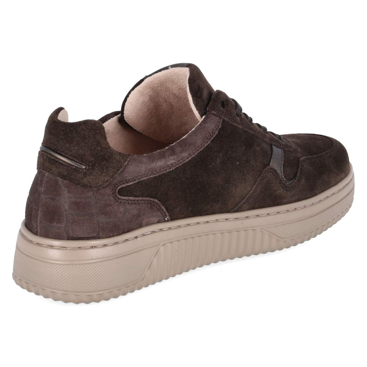 Low Sneaker Braun