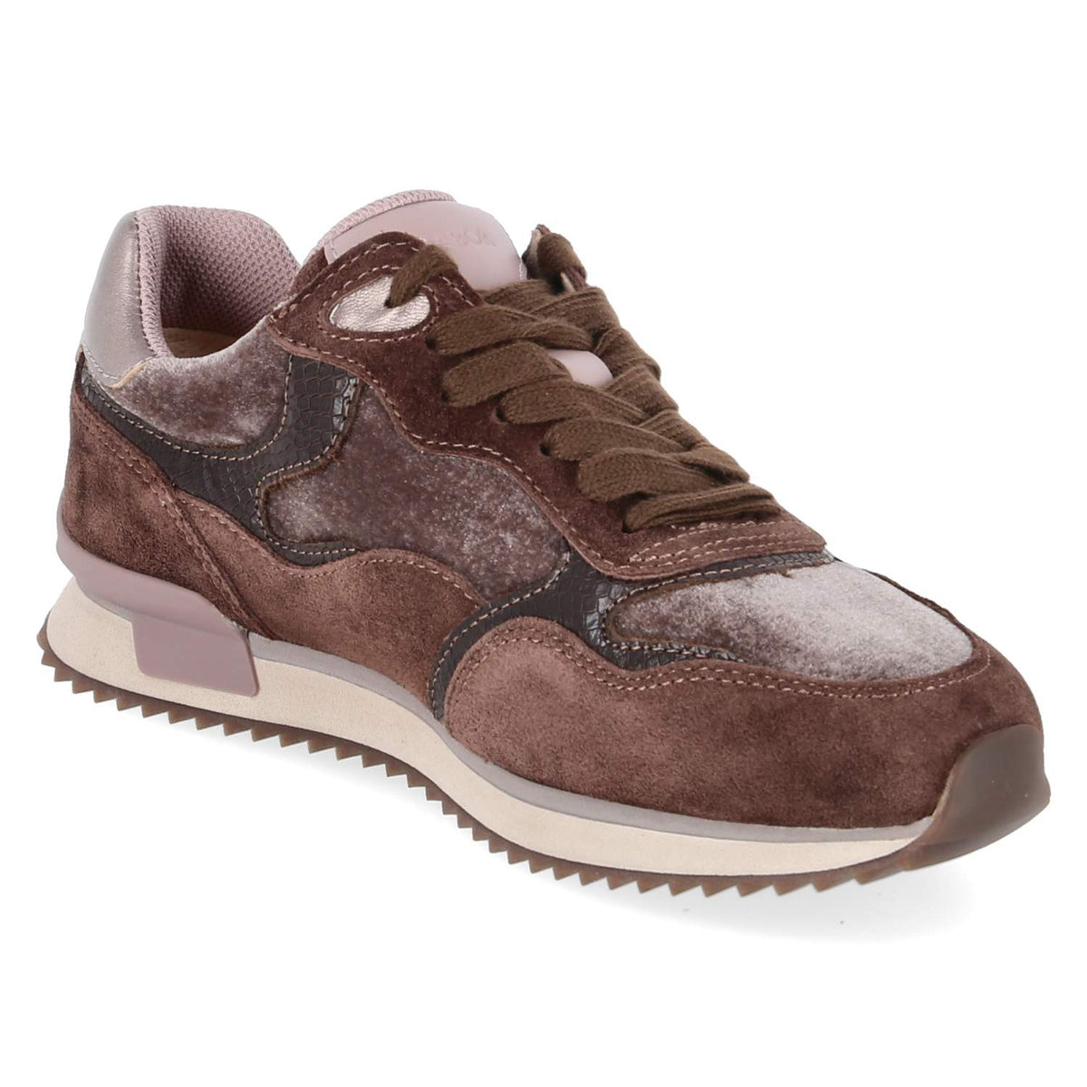 Low Sneaker Braun