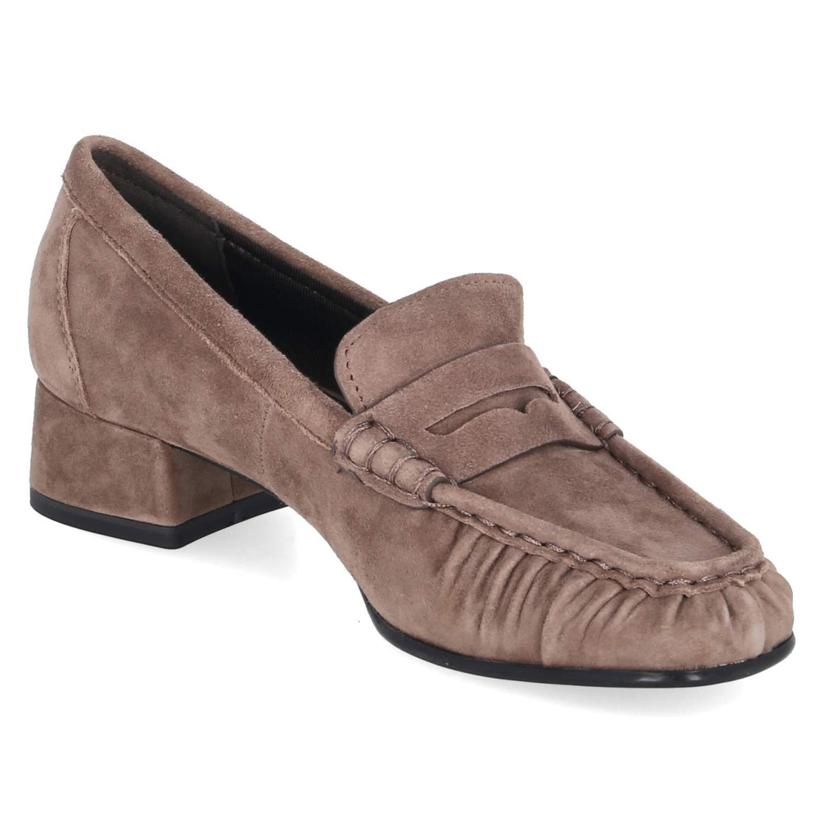 Trotteurs Taupe