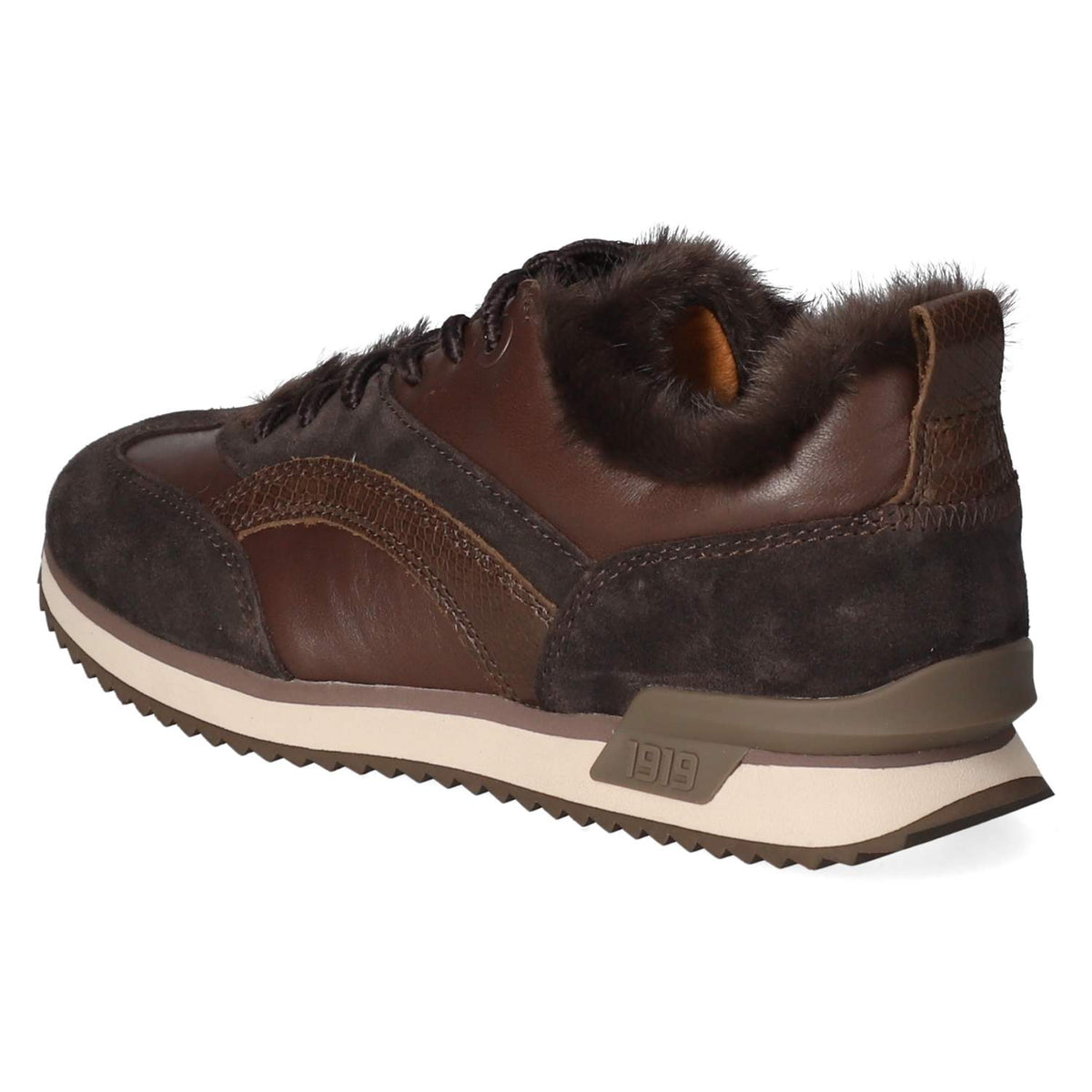 Low Sneaker Braun