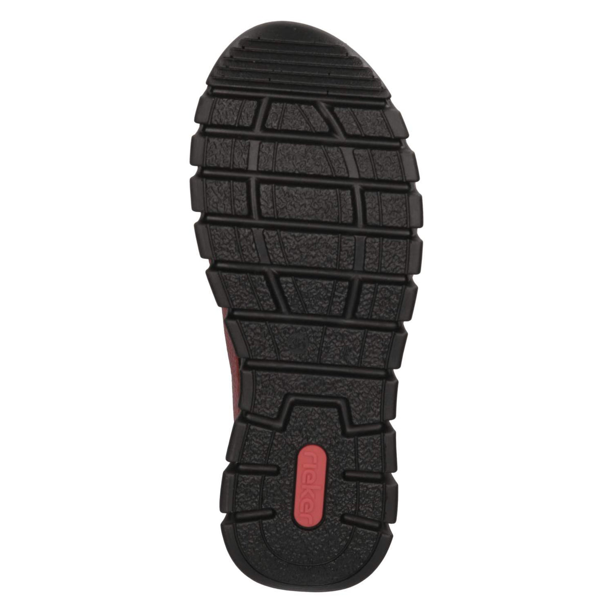 Slipper Rot