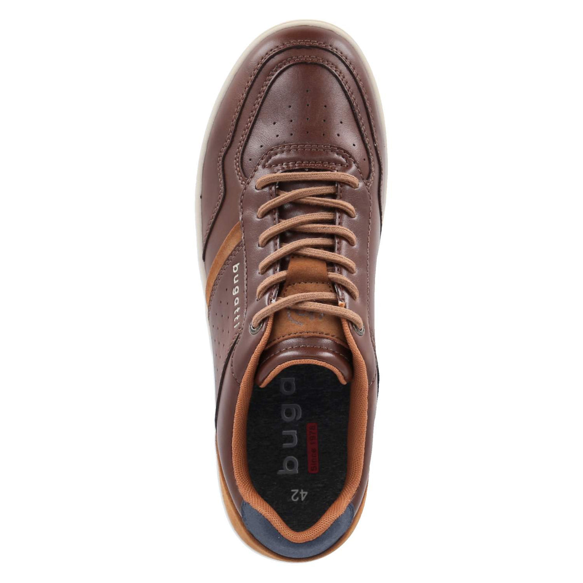 Low Sneaker Braun