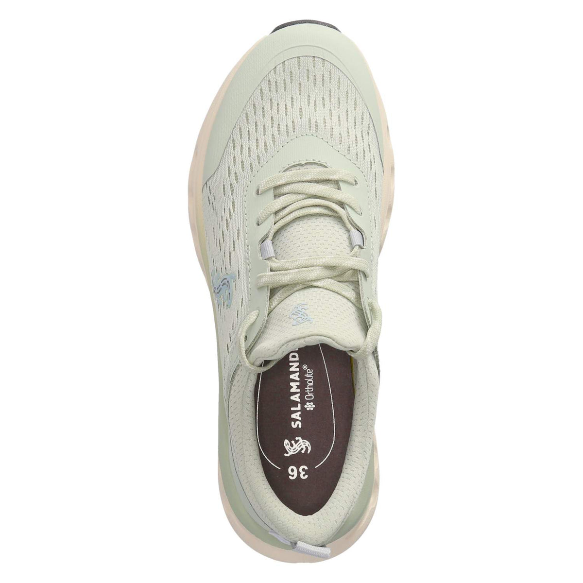 Low Sneaker Grün