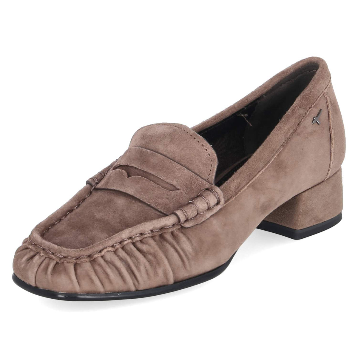 Trotteurs Taupe