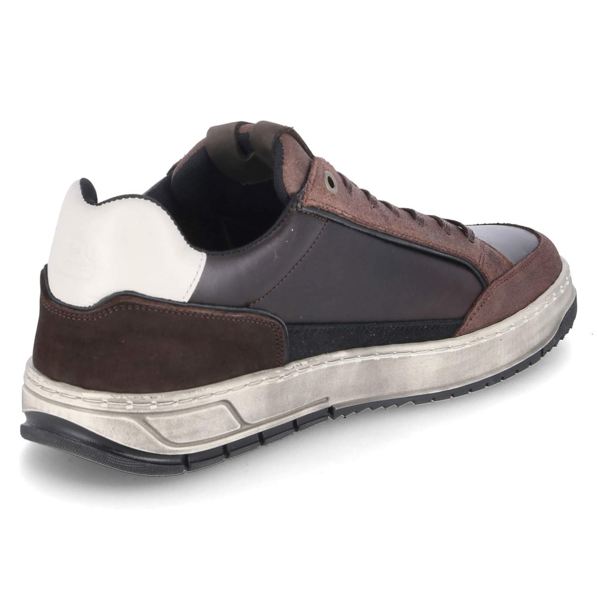 Low Sneaker Braun